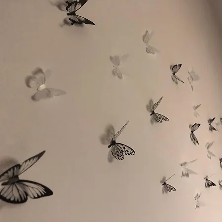 La Casa Di Pablo Apartment